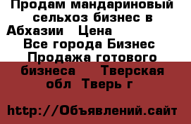 Продам мандариновый сельхоз-бизнес в Абхазии › Цена ­ 1 000 000 - Все города Бизнес » Продажа готового бизнеса   . Тверская обл.,Тверь г.